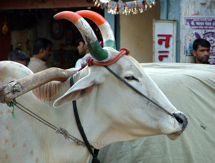 Living Shrines of India
