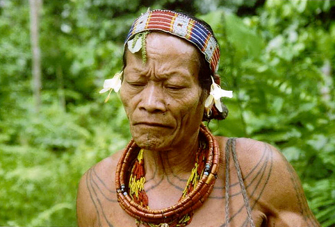 The Keepers of the Rainforest